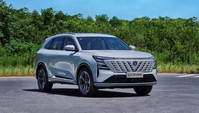 上半年油車銷量榜釋放信號(hào):買油車的不在少數(shù),合資依然強(qiáng)
